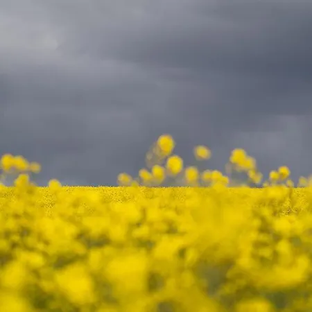 Tatil Evi Haus Waterblick